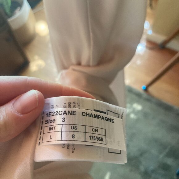 Ba&sh Champagne Slip Dress (S*) - Picture 5 of 9